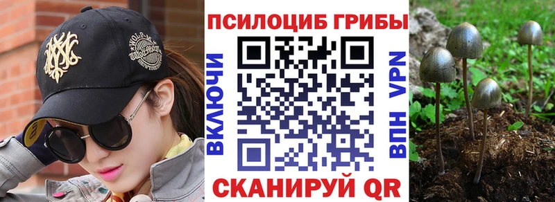 shop формула  ссылка на мегу как войти  Балабаново  где можно купить наркотик  Псилоцибиновые грибы Magic Shrooms 